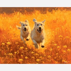 WILDFLOWER DOGS