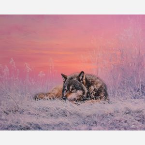 WINTER MEADOW SILENCE